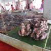 Indonesian market Banda Aceh, Crabs