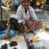 Indonesian market - Bowae, Flores - Medicine-sellers
