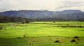 The Tangse valley, Aceh, 1990