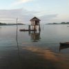 A Banggai resident moves a stilt house