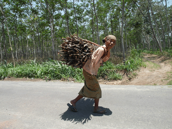 Old lady carries wood in Central Java - Indonesia