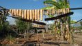 Whale meat hung out to dry